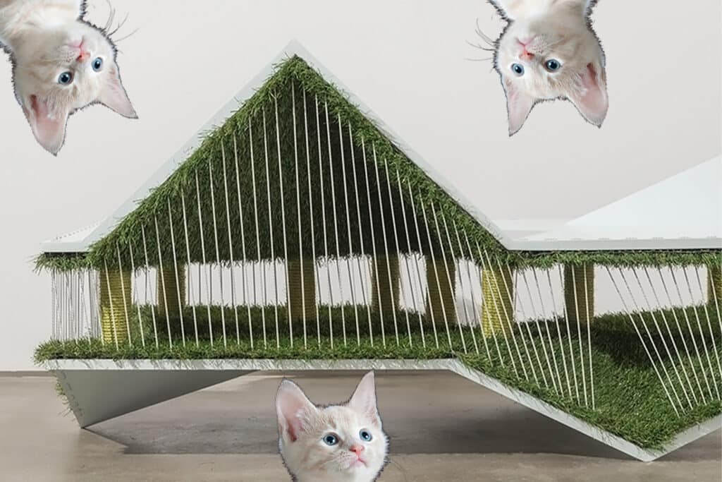 This Stylish Furniture Piece Doubles As A Cat Playground