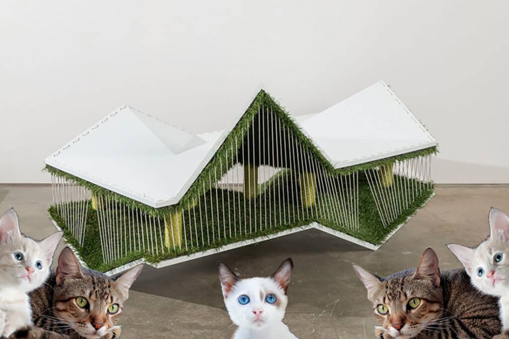 This Stylish Furniture Piece Doubles As A Cat Playground