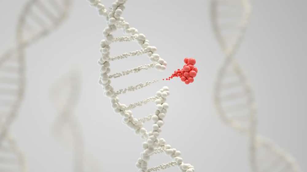 New Gene-Editing Technique Can Program Cuts Over Time