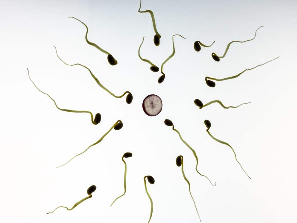 Toxic Chemicals Found In Everything, Everywhere Are Shrinking Penises