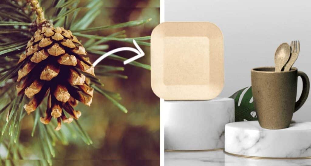 Biodegradable Cutlery Made Of Fallen Pine Needles