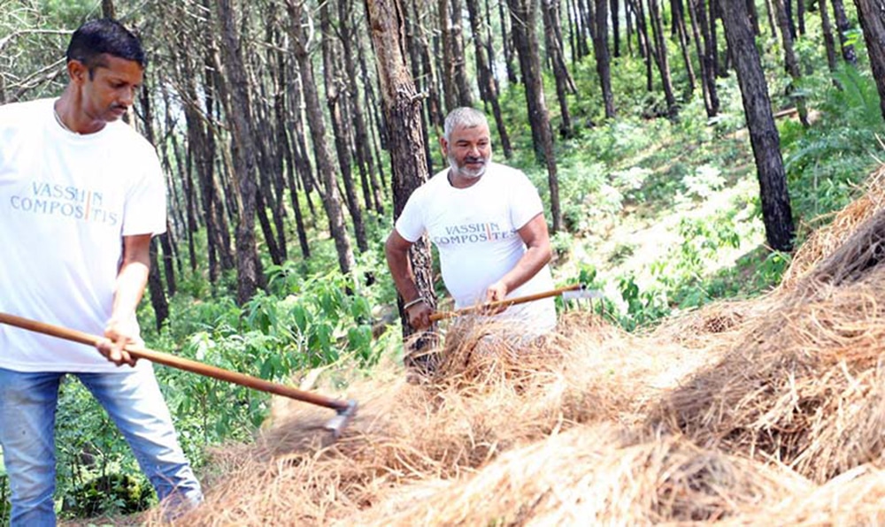 Biodegradable Cutlery Made Of Fallen Pine Needles