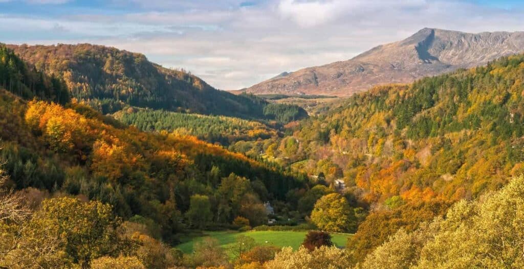 Wales To Become The World's First Deforestation-Free Nation