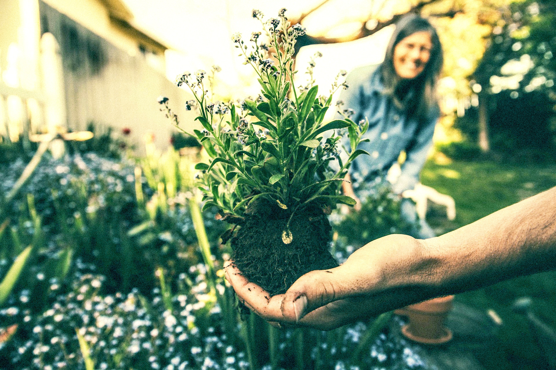 Daily Gardening Is As Good For Wellbeing As Regular Intense Exercise