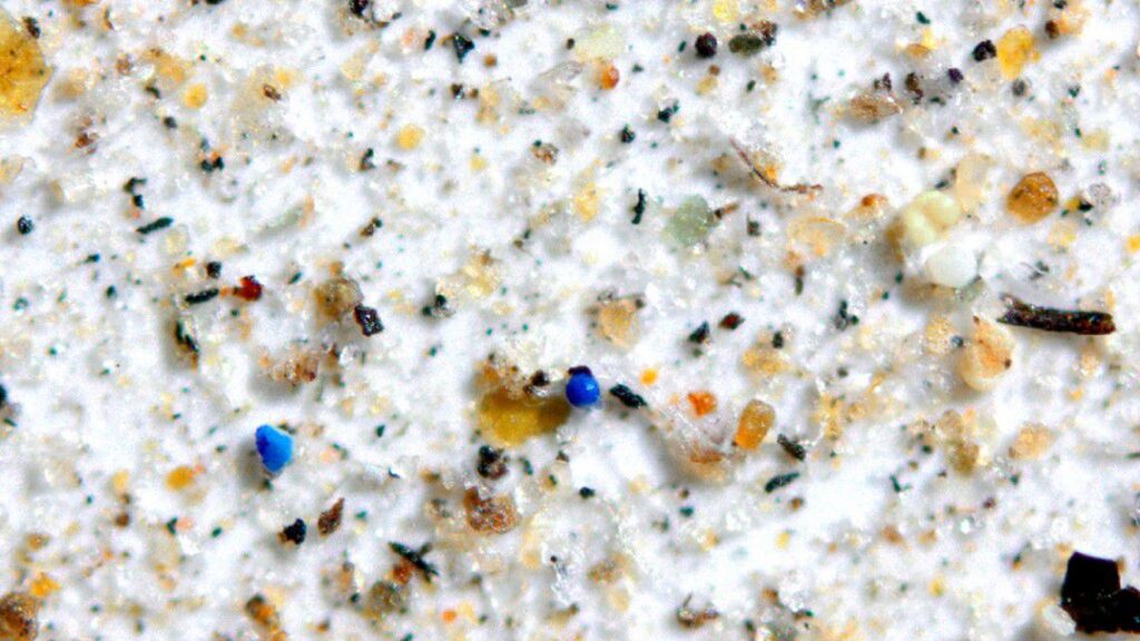 The Total Plastification Of The Planet Is Near