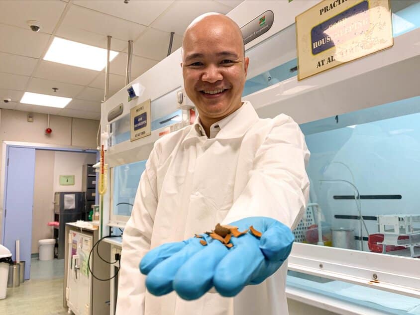 Scientists Turn Tamarind Waste Into An Eco-Friendly Energy Storage Device