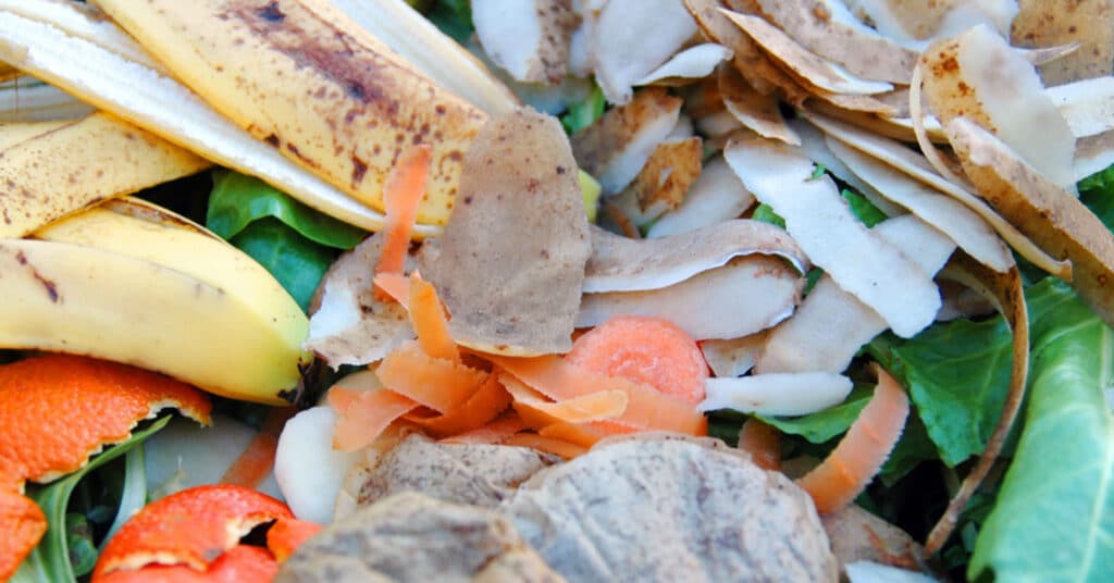 Add banana peels to your compost