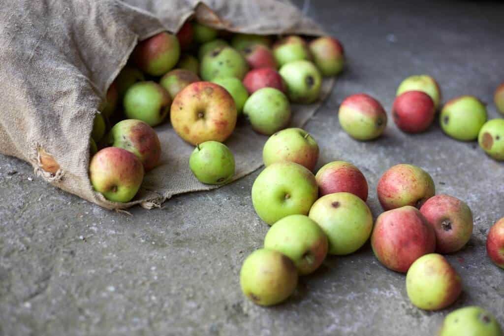 Food waste