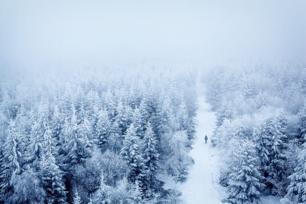 Anti-Freezing, High-Stretchable Material Could Power Robots In The Arctic