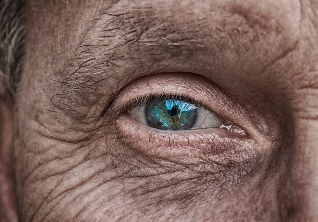 Algae Gene Therapy Partially Restored Completely Blind Man's Vision