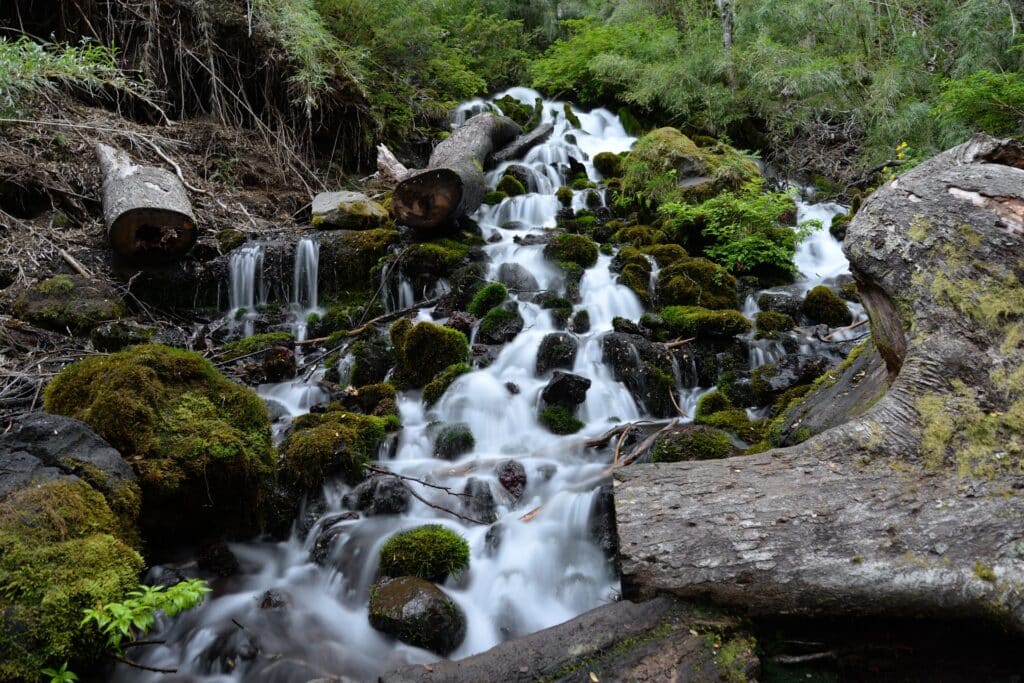 Reduce Stress, Anxiety, And Depression By Tuning Into Nature