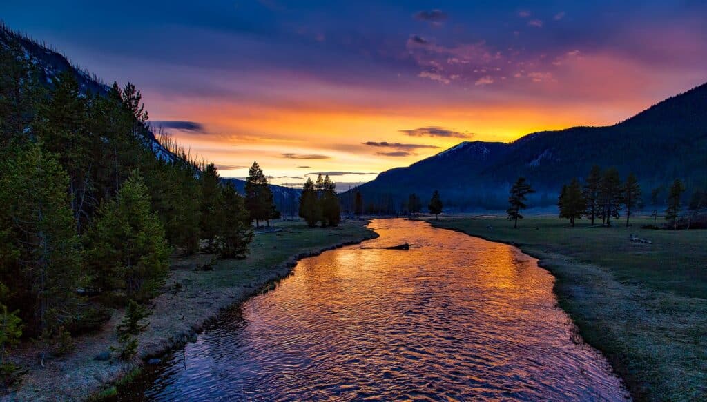Reduce Stress, Anxiety, And Depression By Tuning Into Nature