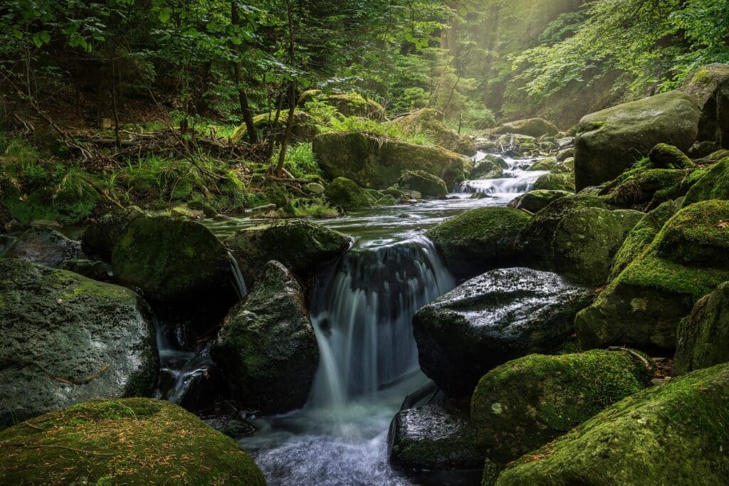 Reduce Stress, Anxiety, And Depression By Tuning Into Nature