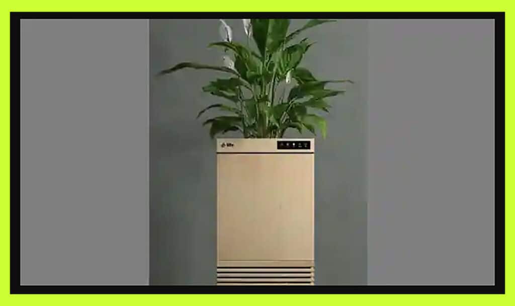 Ubreathe Life - The World's First Living 'Plant-Based' Air-Purifier