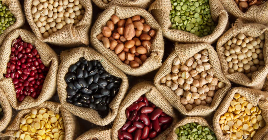 Legumes