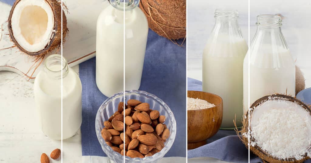 A Vegan Shopping Guide For Beginners