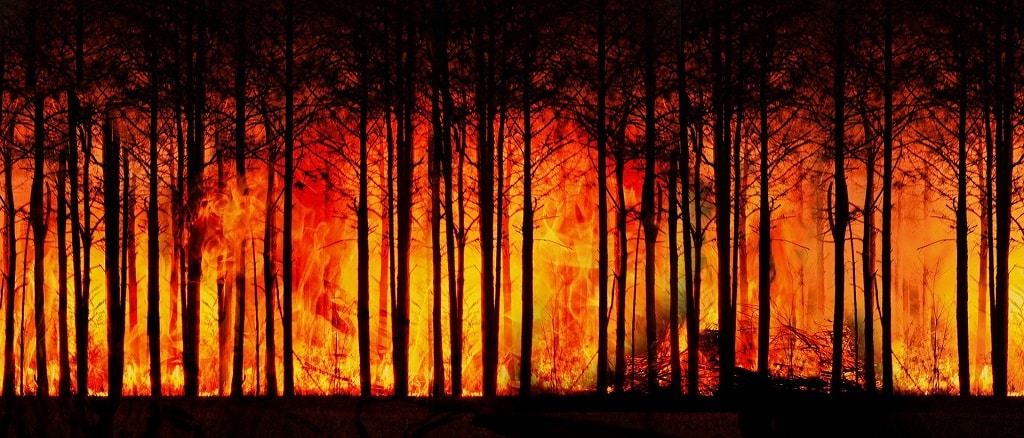 2035 Net-Zero Climate Goal or Disaster, We Must Decide Now!