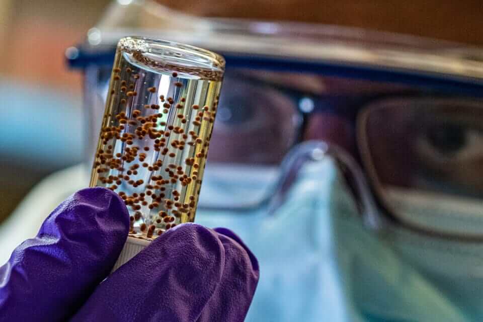 A vial of the stem cell capsules
