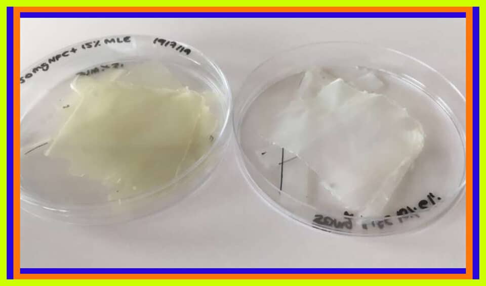 Samples of the new bioactive plastic.