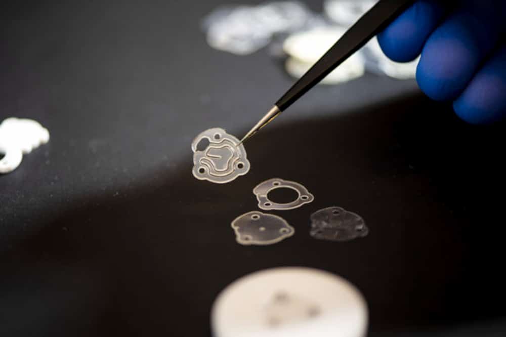 This Squid Camouflage Button Monitors Sun Exposure to Prevent Skin Cancer