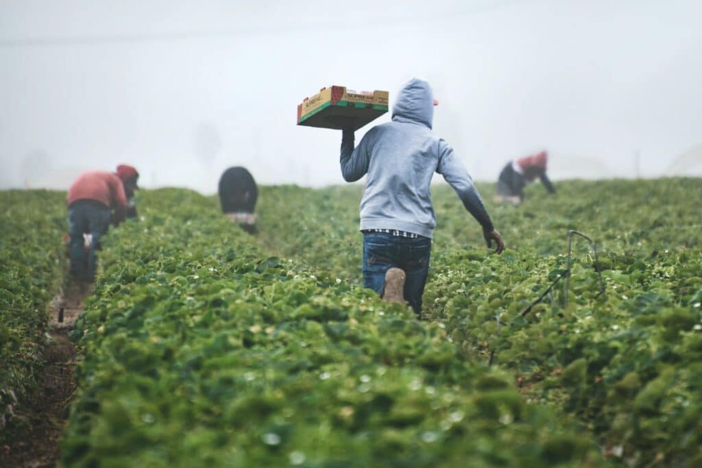 Eco-friendly Agriculture Trends Farmer’s Might Want To Consider