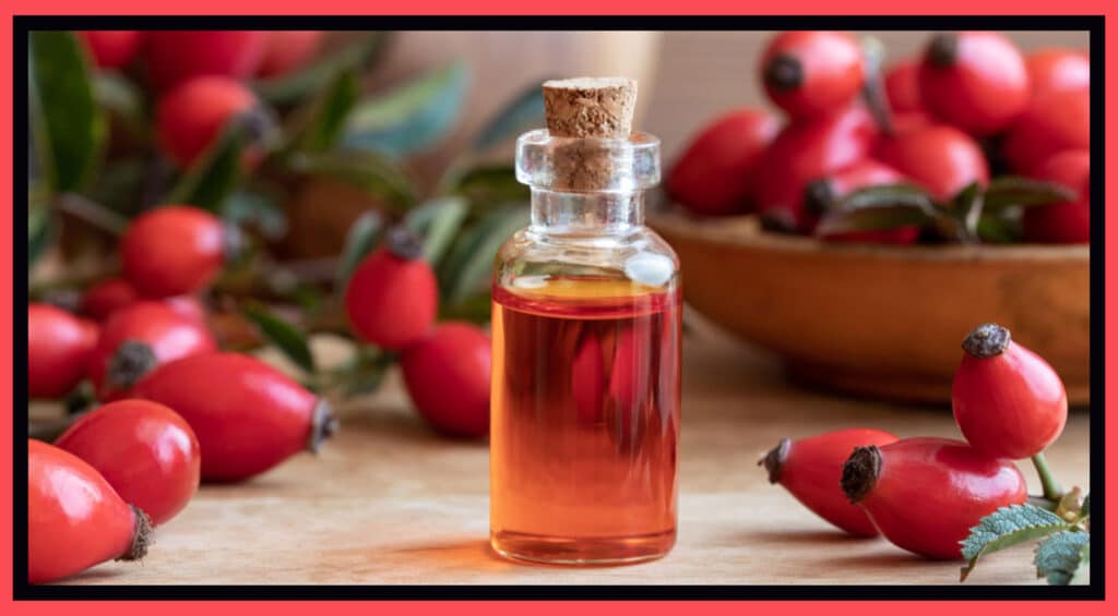 Rosehip Oil