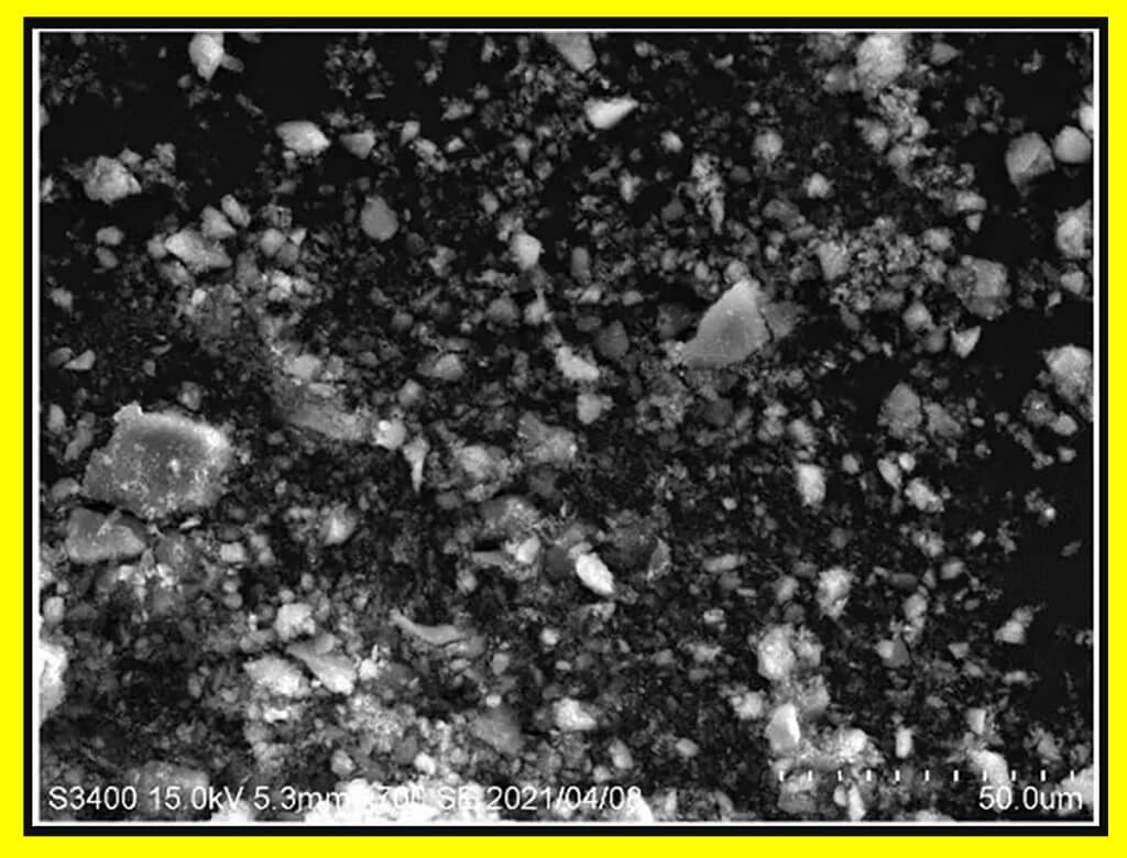 The scientist used crushed and treated rice husk to create eco-friendly QD LEDs