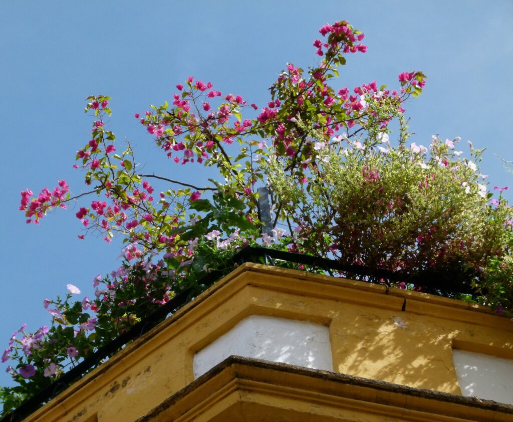 Six Fantastic Ways to Grow Food Without a Yard