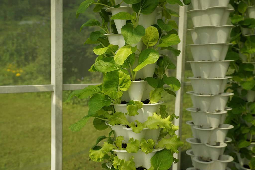 Grow food hydroponically