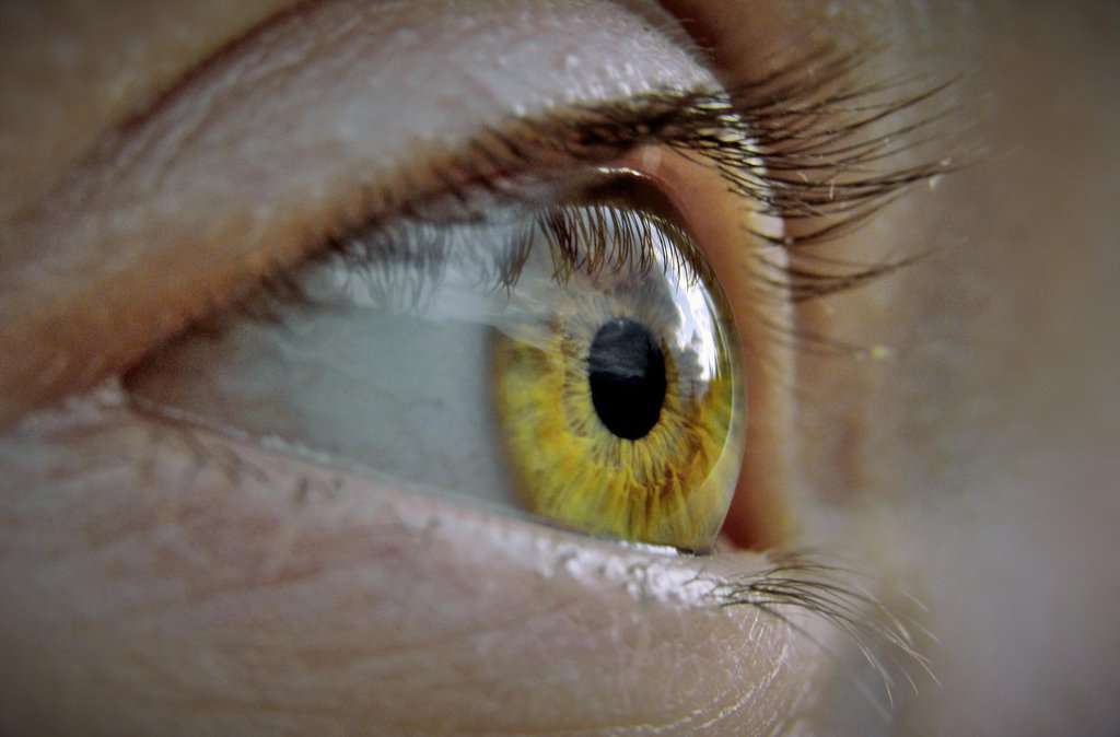Eye Health Warning Flags