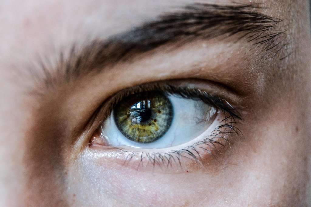 Eye Health: The Best and Worst Foods