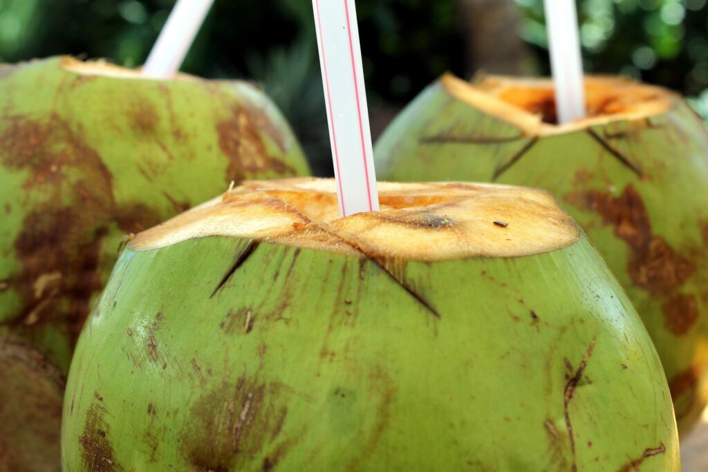 coconuts with straws
