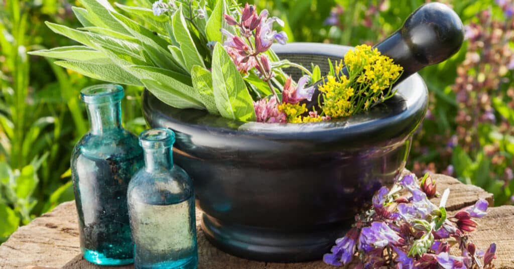 mortar and pestle, jars, herbs