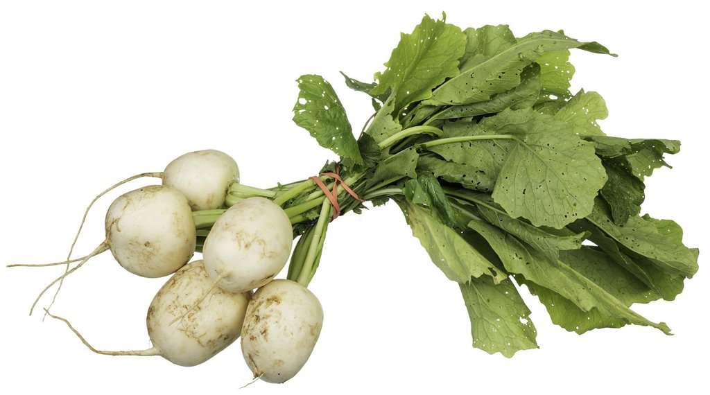 Boost Your Health with These Super Healthy Leafy Greens