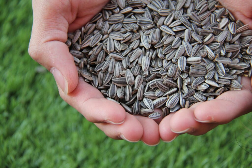 12 Nourishing Foods for Glowing Skin