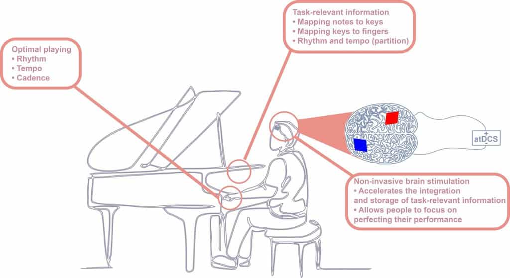 Neurostimulation Boosts Learning Ability, Restores Memory, & More