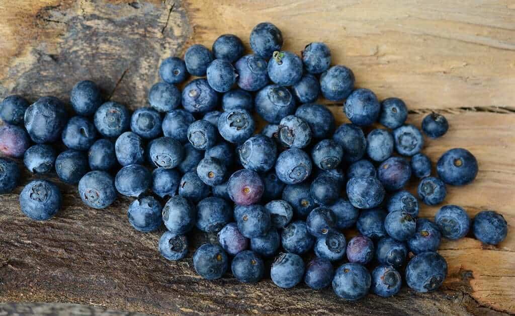 Blueberries can help to protect the liver