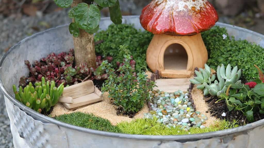 Mini fairy garden