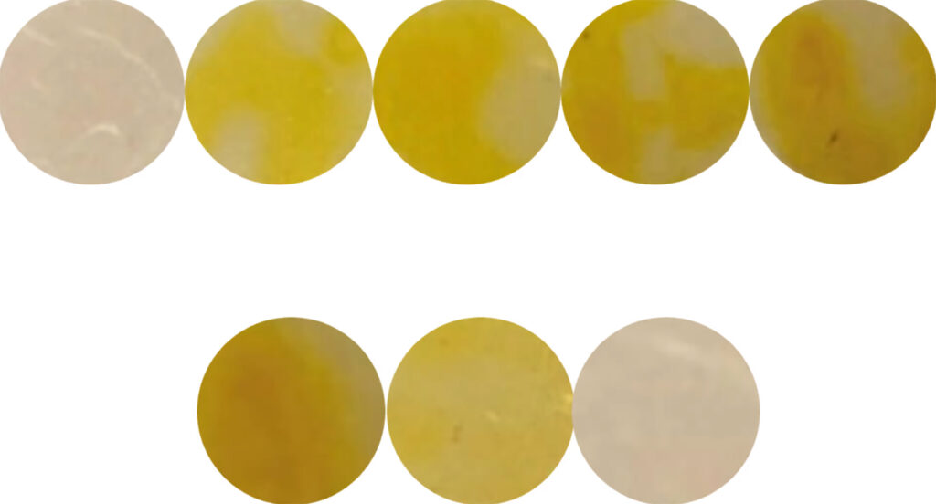 Meat-Testing Film for Easy Nitrite Detection on Foods