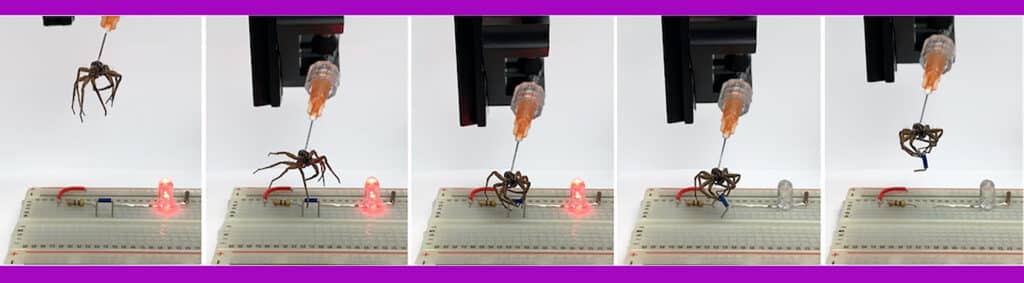 A necrobotic gripper lifts a jumper and breaks a circuit on an electronic breadboard to turn off an LED.