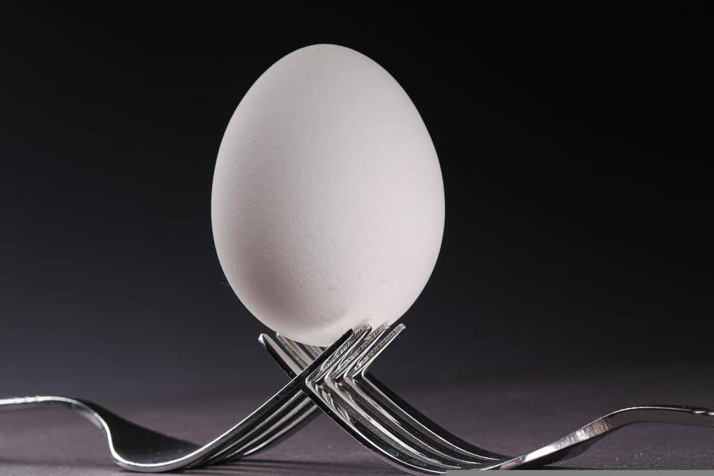 Egg whites are a high protein food