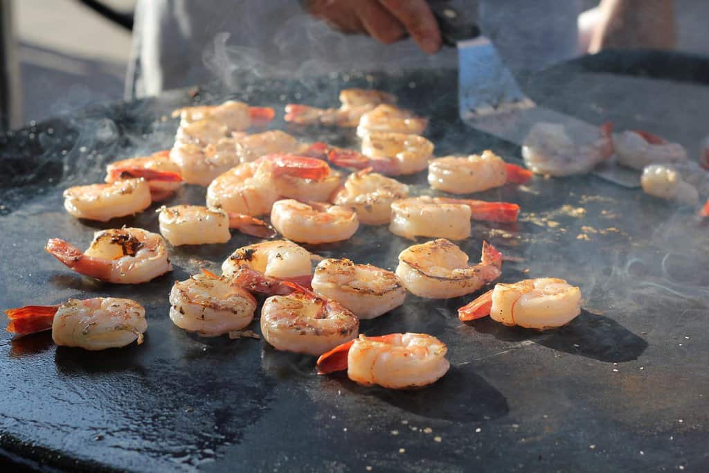 Shrimp are high in protein