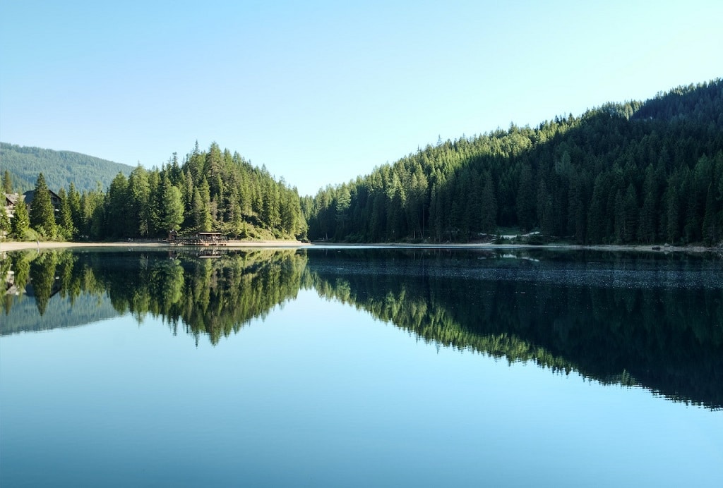 Lake surrounded by greenery