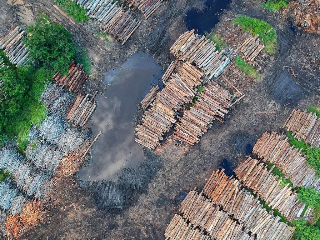 Amazon rainforest deforestation
