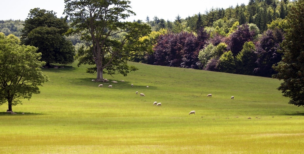 Areas of Outstanding Natural Beauty You Can Reach Without a Car
