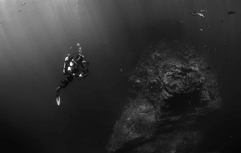 The Best Time of Year to Dive in Sydney