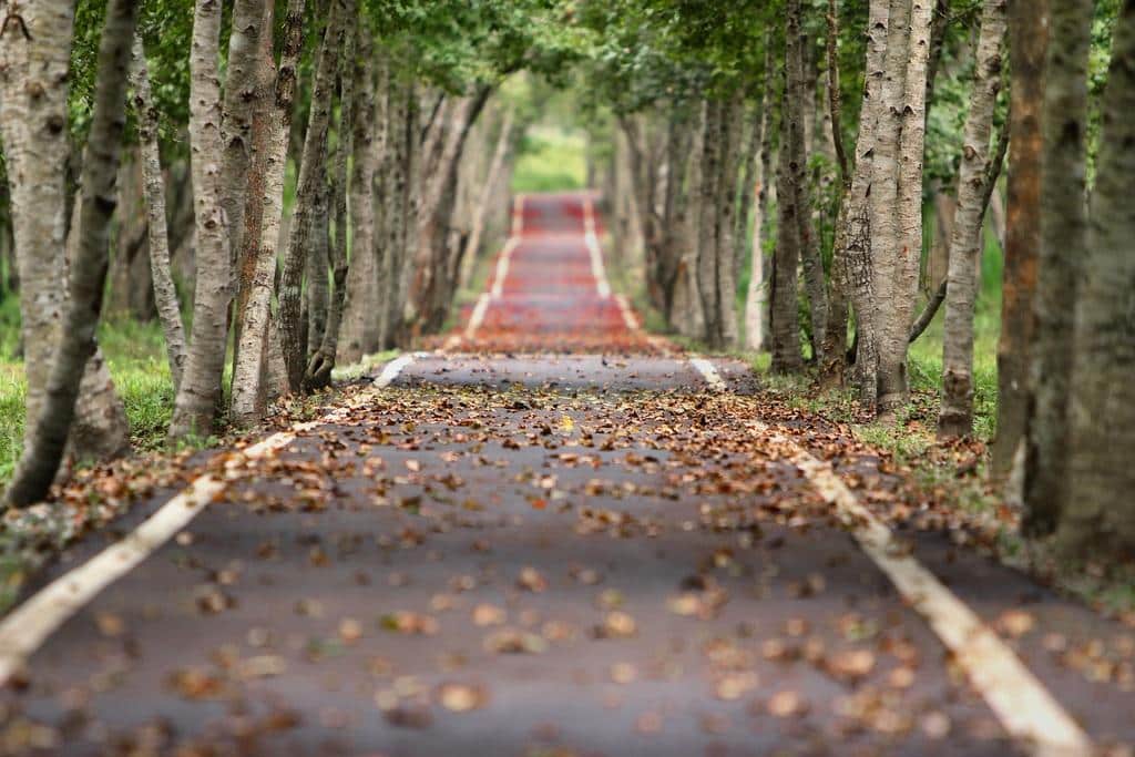 Six Ways to Promote Ethical Ecological Consumption Habits