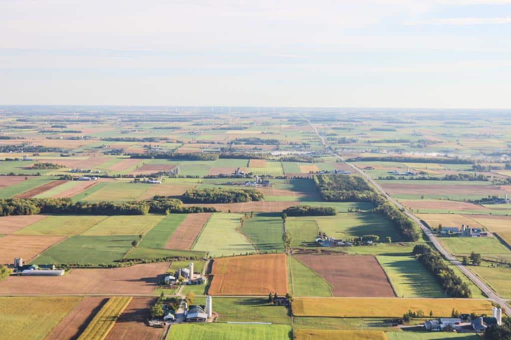 Farmland