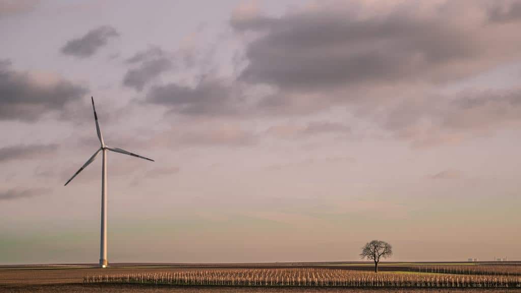 How to Implement Distributed Power Generation?