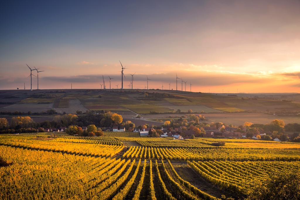 The Future of Renewables: What Residents Need to Know